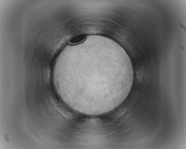 X0000103140304200809121759