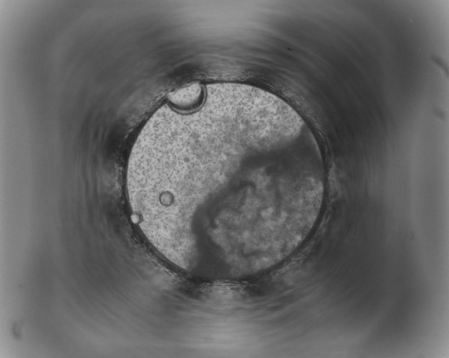 X0000103140305200809121759