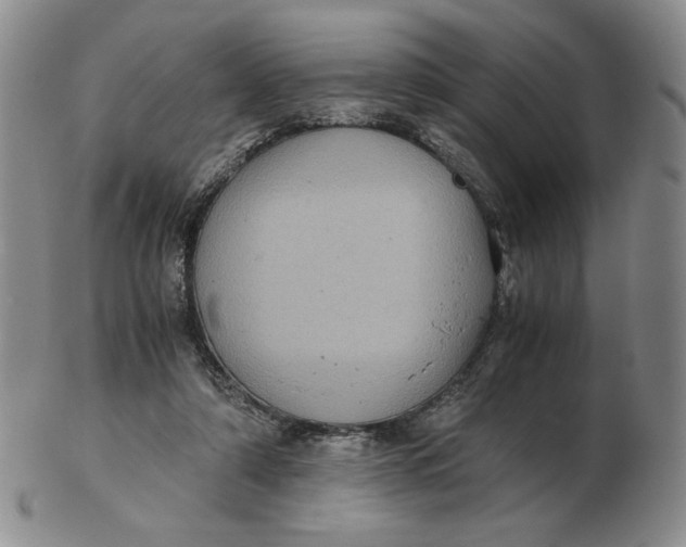 X0000103140306200809121759