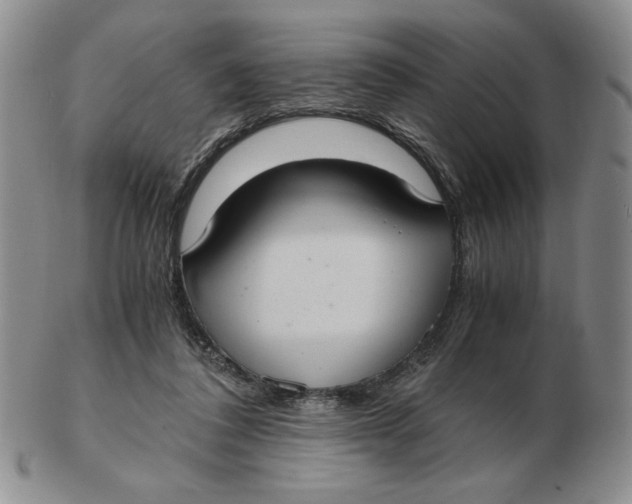 X0000103140308200809121759