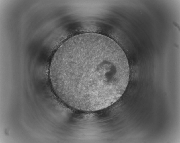 X0000103140309200809121759