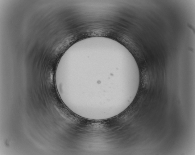 X0000103140310200809121759