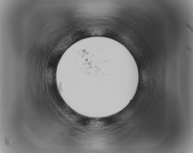 X0000103140311200809121759