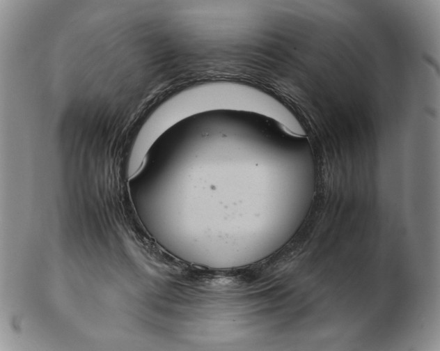 X0000103140312200809121759