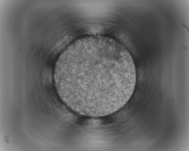 X0000103140313200809121759