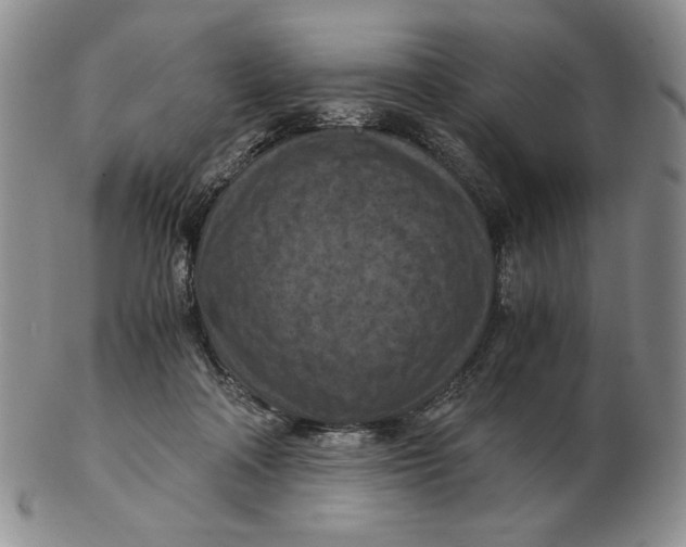 X0000103140314200809121759