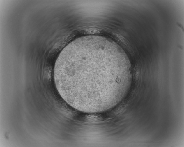 X0000103140315200809121759