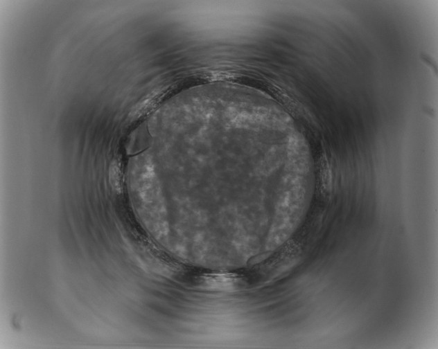 X0000103140316200809121759