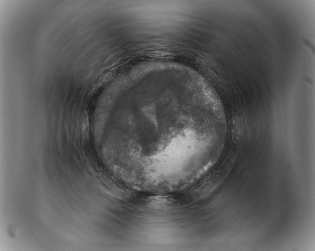 X0000103140320200809121759