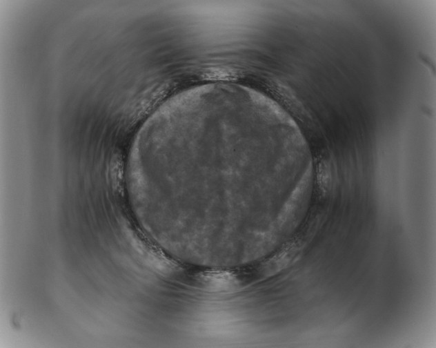 X0000103140322200809121759