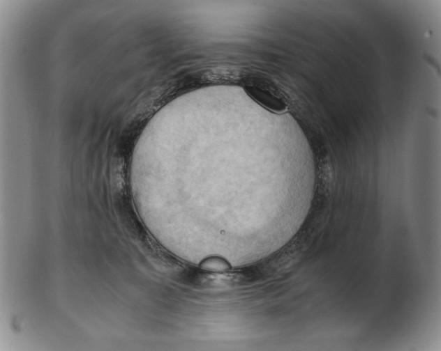 X0000103140323200809121759