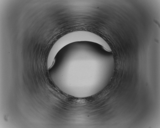 X0000103140324200809121759