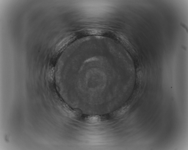 X0000103140325200809121759