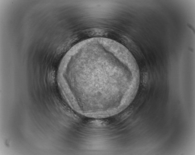 X0000103140326200809121759