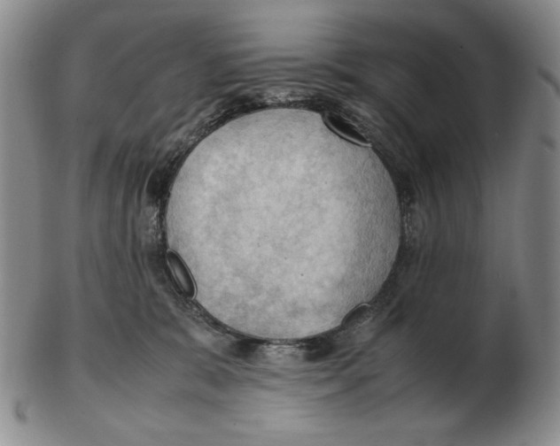 X0000103140327200809121759