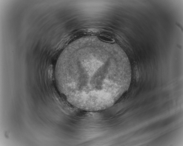 X0000103140328200809121759