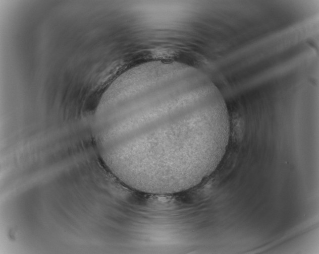 X0000103140329200809121759