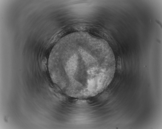 X0000103140332200809121759