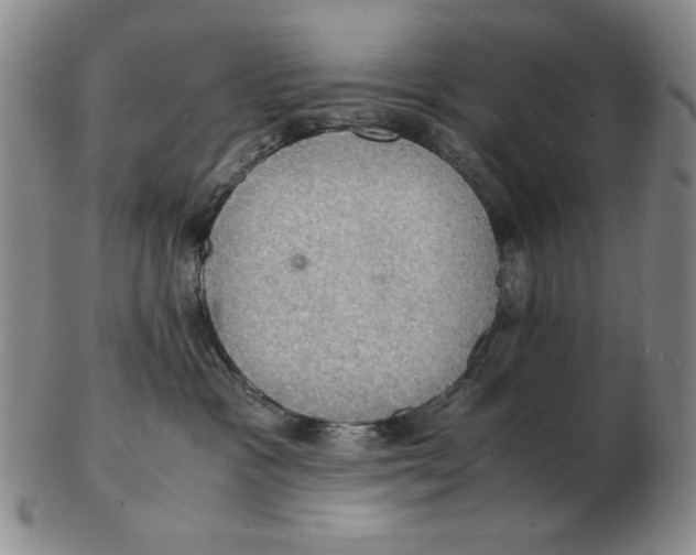 X0000103140333200809121759