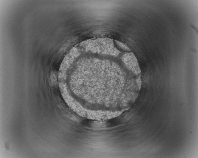 X0000103140335200809121759