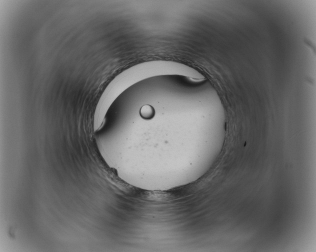 X0000103140336200809121759