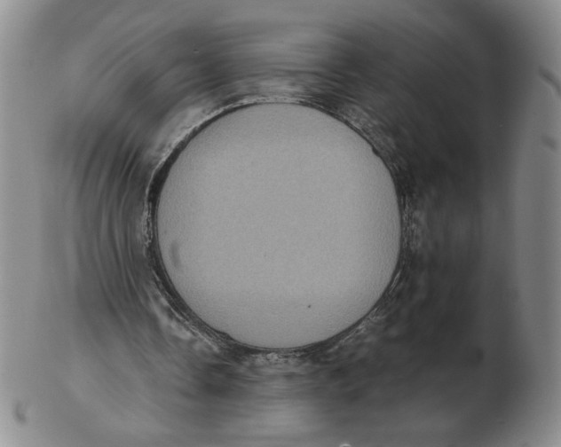 X0000103140338200809121758