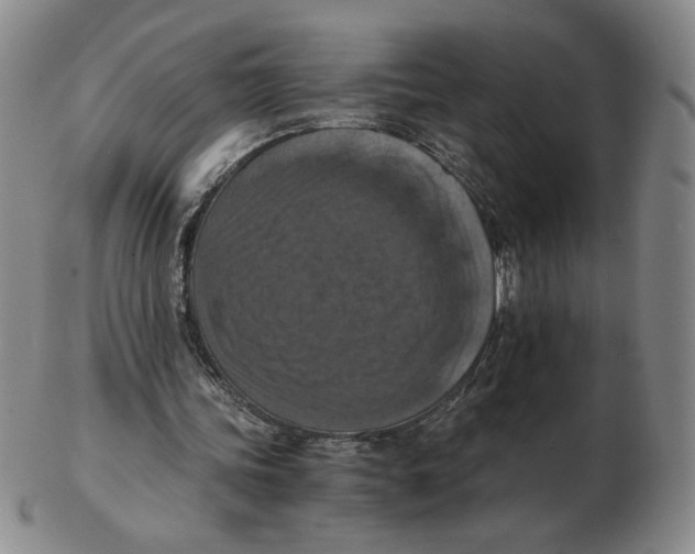 X0000103140339200809121758