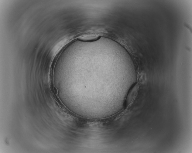 X0000103140340200809121758