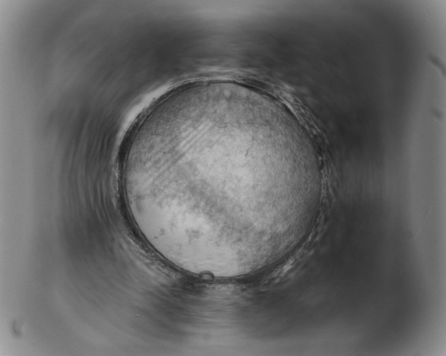 X0000103140342200809121758