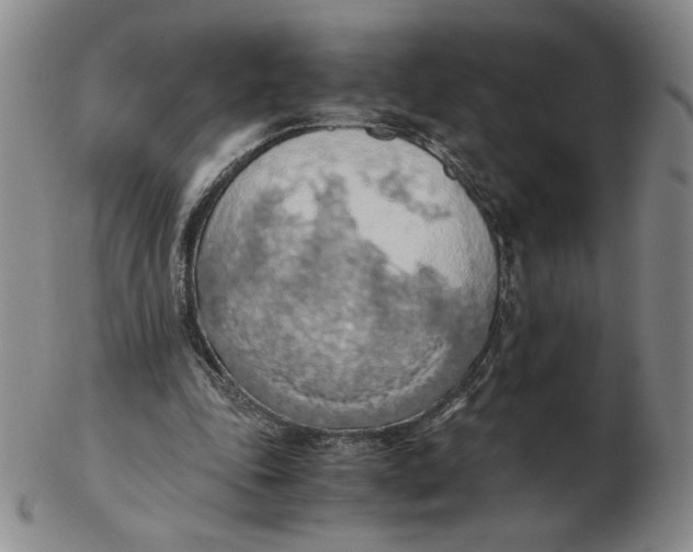 X0000103140343200809121758