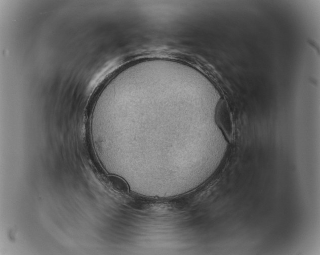 X0000103140344200809121758