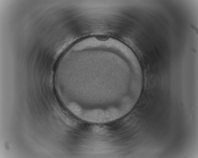 X0000103140346200809121759