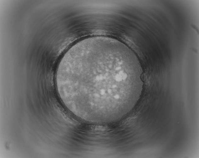 X0000103140347200809121759