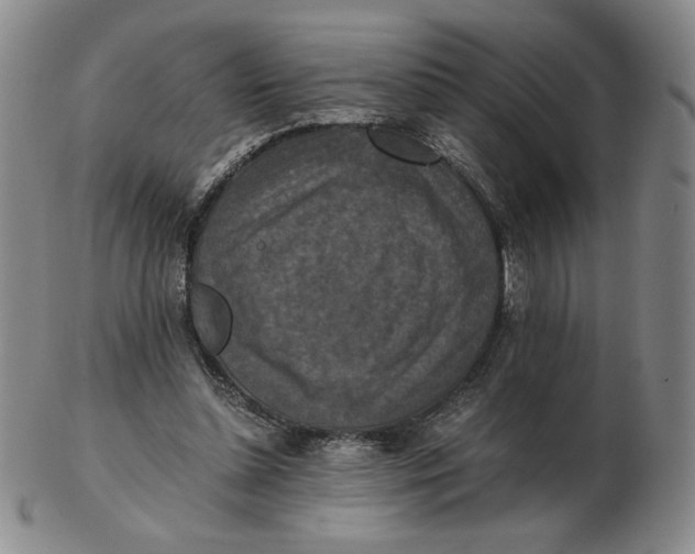 X0000103140348200809121759