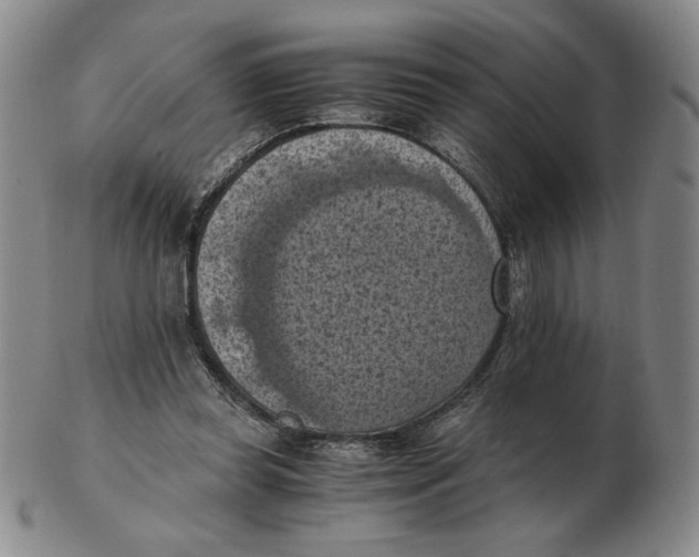 X0000103140349200809121759