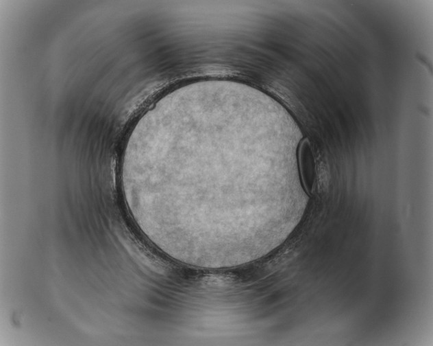 X0000103140350200809121759