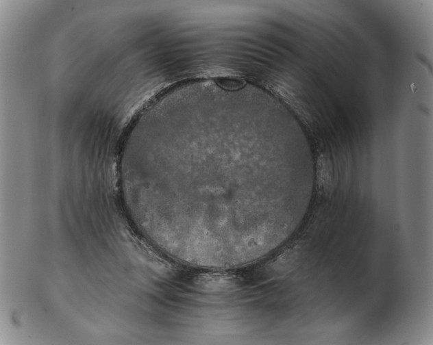 X0000103140351200809121759