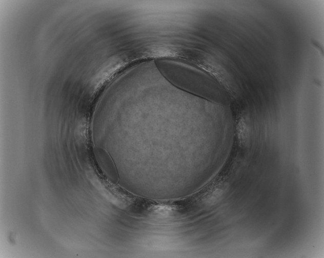 X0000103140352200809121759