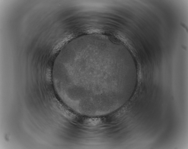 X0000103140353200809121759