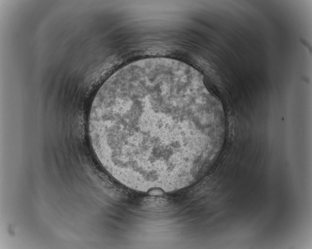 X0000103140354200809121759