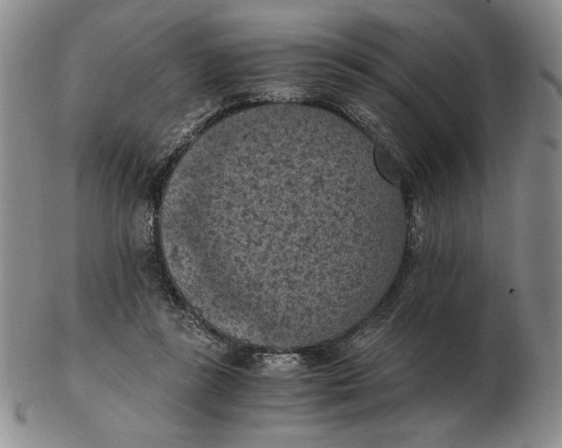 X0000103140355200809121759