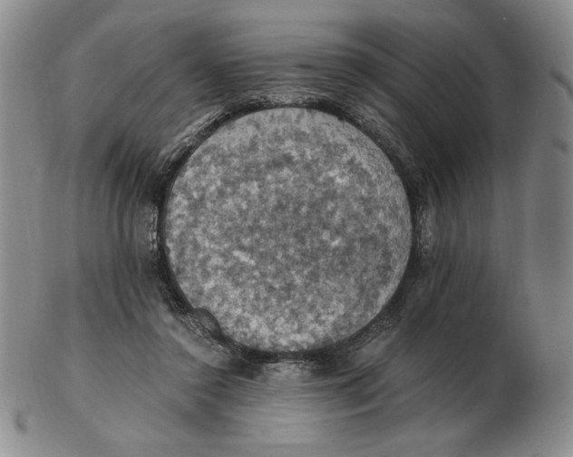 X0000103140356200809121759