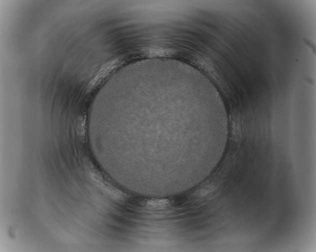 X0000103140357200809121759