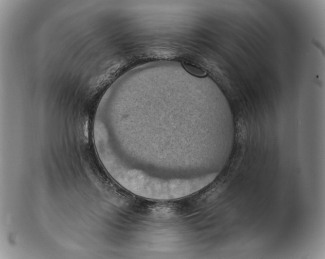 X0000103140358200809121759