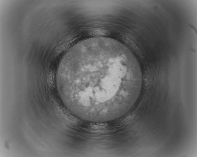 X0000103140359200809121759