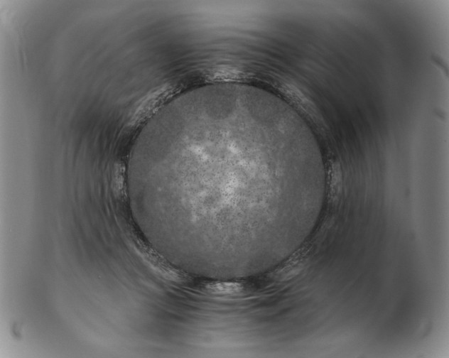 X0000103140361200809121759