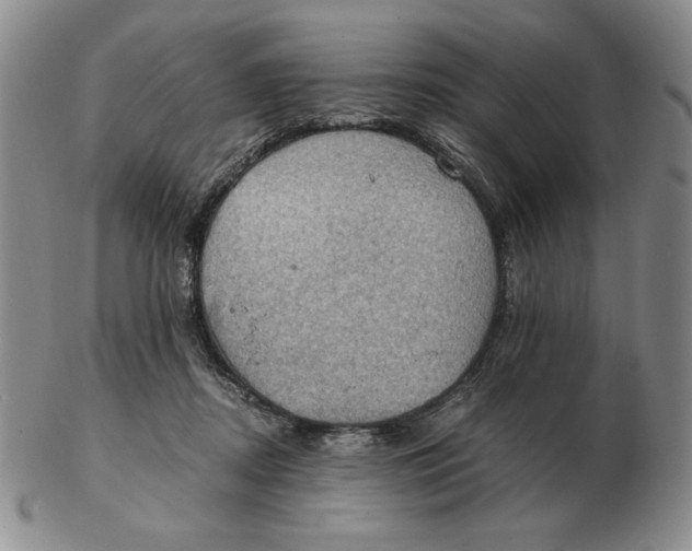 X0000103140362200809121759