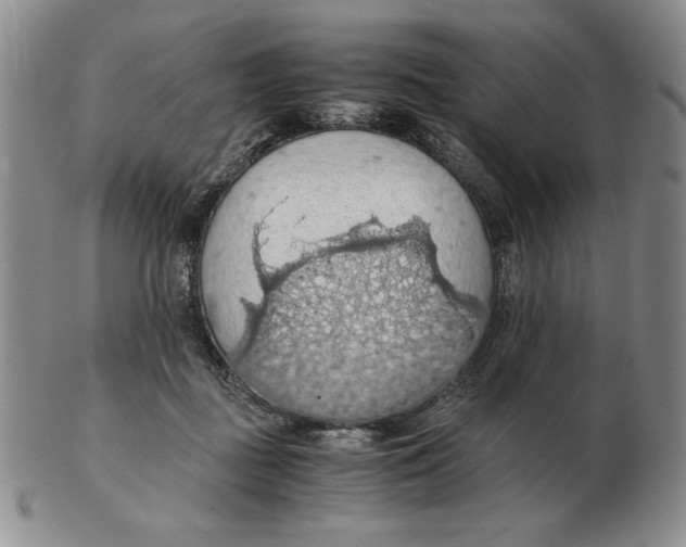 X0000103140363200809121759