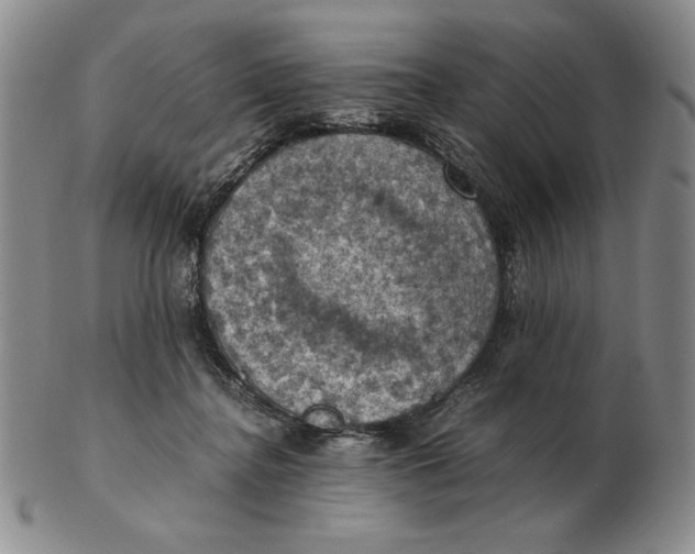 X0000103140364200809121759