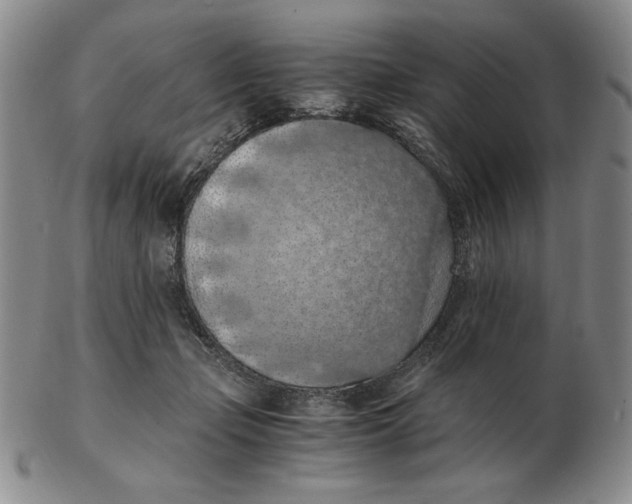 X0000103140365200809121759